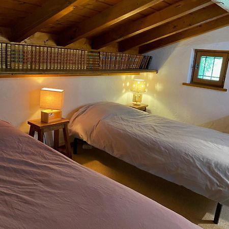 Chalet Erminea Σαμονί Εξωτερικό φωτογραφία