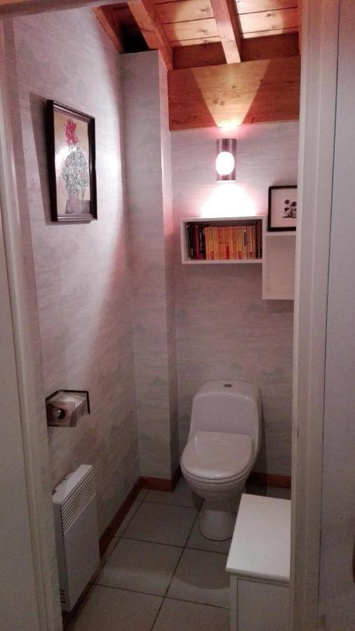 Chalet Erminea Σαμονί Εξωτερικό φωτογραφία