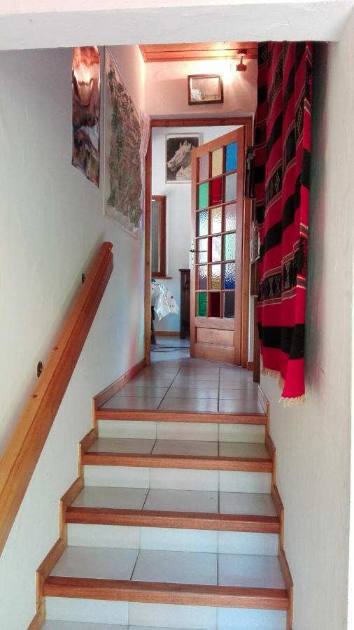 Chalet Erminea Σαμονί Εξωτερικό φωτογραφία