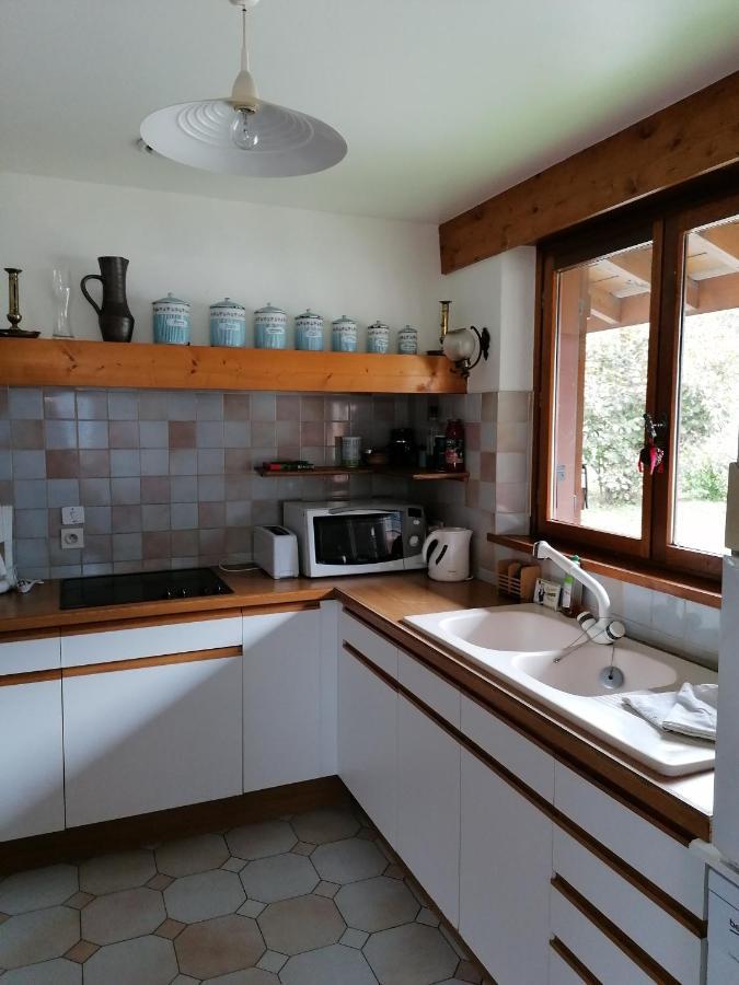 Chalet Erminea Σαμονί Εξωτερικό φωτογραφία
