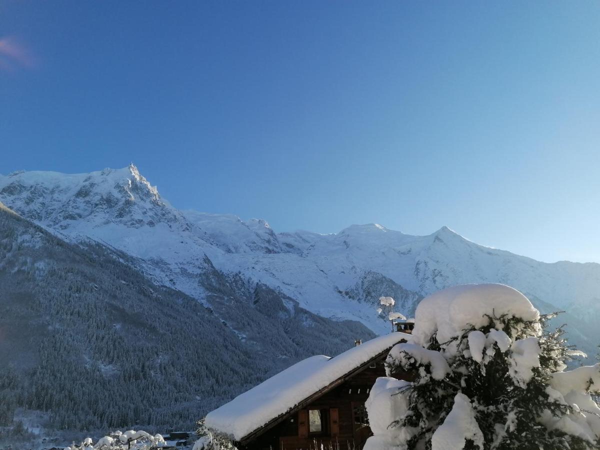 Chalet Erminea Σαμονί Εξωτερικό φωτογραφία