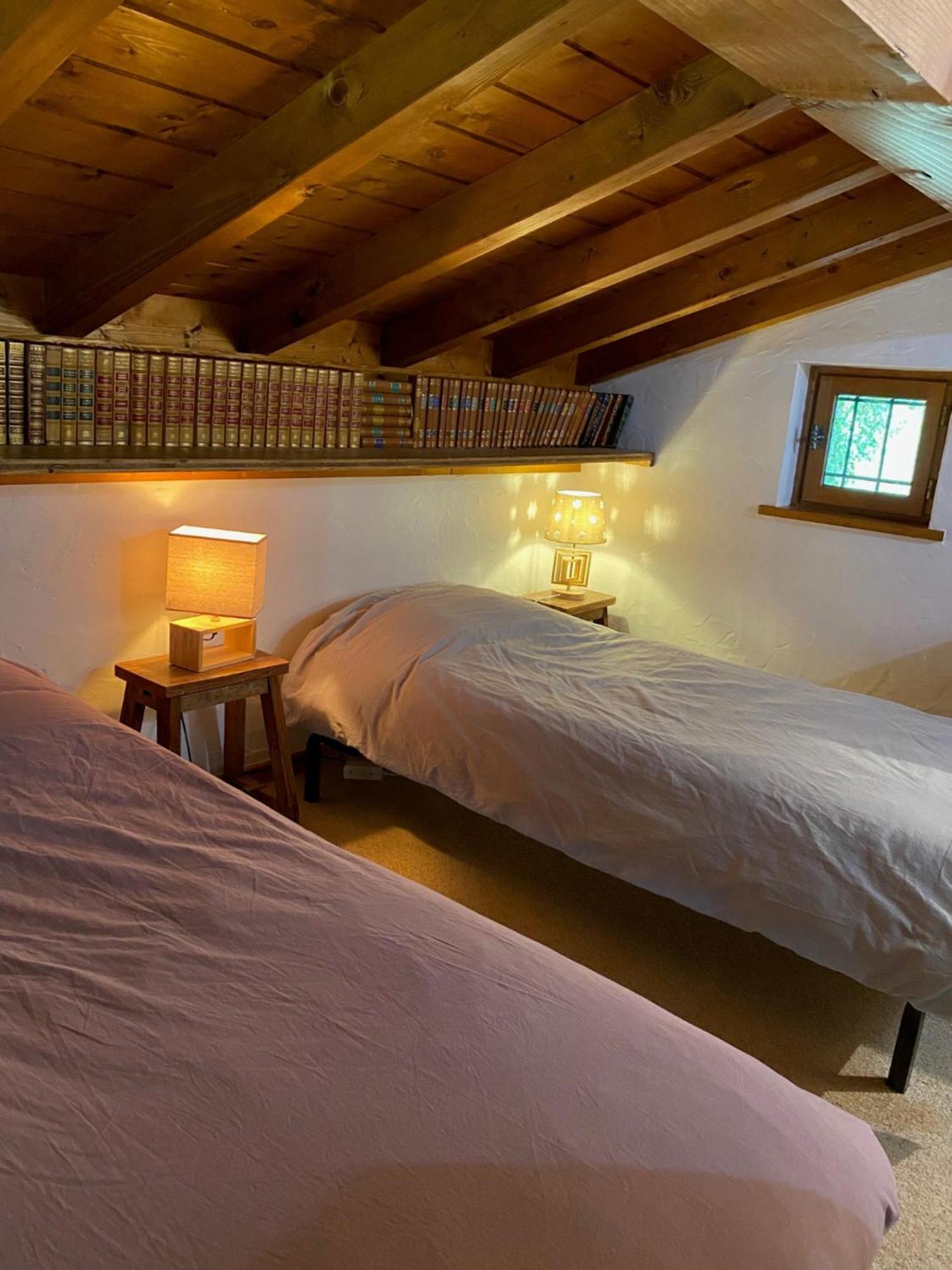 Chalet Erminea Σαμονί Εξωτερικό φωτογραφία